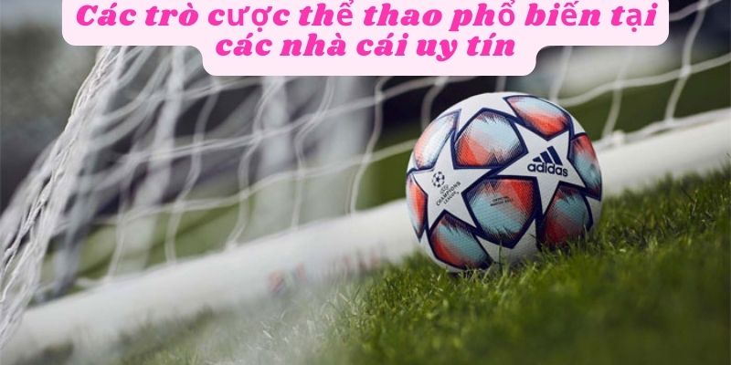 Các trò cược thể thao phổ biến